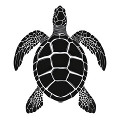 Fototapeta premium Turtle silhouette illustration ocean graphic art minimalist side view nature