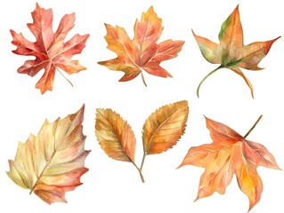Fototapeta premium Autumn Watercolor Leaves Collection Fall Foliage Maple Oak