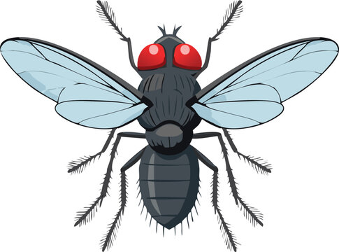 vector illustration of a black and white beetle