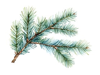 Watercolor Spruce Branch  Green Fir Tree Twig  Christmas Botanical Illustration