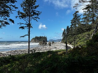 waves crashing onto the sandy beach shores on Ruby Beach in the Olympic National Forest in Washington state
