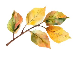 Watercolor Autumn Leaves Branch  Fall Foliage  Golden Yellow  Green
