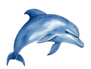 Obraz premium Watercolor Dolphin Ocean Mammal Marine Animal Wildlife Illustration