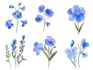 Watercolor Blue Flowers  Floral Elements  Botanical Illustration