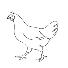 SingleLine Drawing of a Domestic Hen, Poultry Farm Illustration