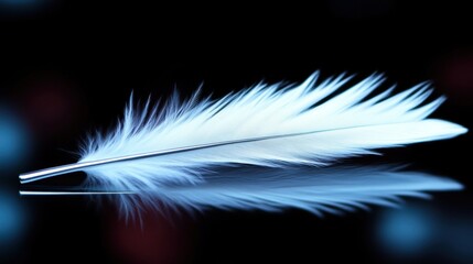 Obraz premium A soft white feather lies gracefully on a glossy surface, reflecting light and colors from the blurred backdrop, creating an elegant atmosphere