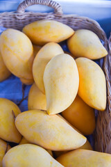 Heap of Mango.fruit ,Mango. Close up of fresh ripe mango fruit
