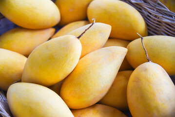 Heap of Mango.fruit ,Mango. Close up of fresh ripe mango fruit