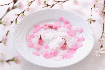 ゆかりで色付けしたさくらの花の型のだいこんとさくらの花の塩漬け　ちらし寿司の飾り