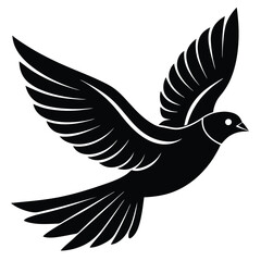 Black vector bird silhouette, a flying dove of peace with detailed wing feathers, an animal symbol of nature's flight