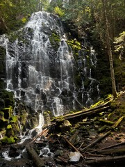 Ramona Falls, a 120-foot waterfall on the upper Sandy River, west side of Mount Hood in Oregon United States