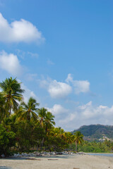Costa Rica beach and nature amazing colors