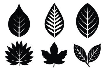 Set of leaf silhouettes in a natural pattern design