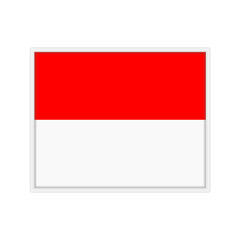flag of Indonesia