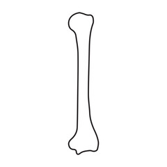 humerus bone posterior line icon