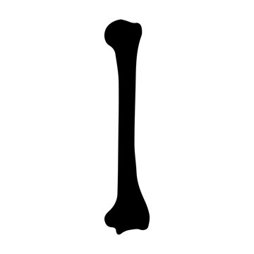 humerus bone posterior glyph icon