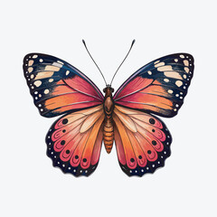  Butterfly vector style illustration art.
