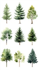 Watercolor tree collection on white background showcasing nature's beauty in artistic style and evergreen charm for serene and peaceful atmosphere