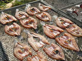dry snake head fish for cooking