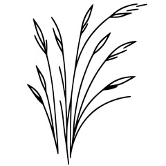 Beautiful grass sketch silhouette