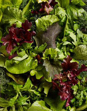 Fresh Mixed Greens Medley Full Frame