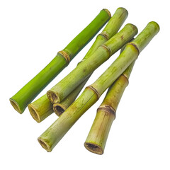 Fototapeta premium Fresh green sugarcane stalks, close-up view.