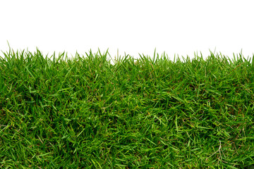 Spring green grass border isolated