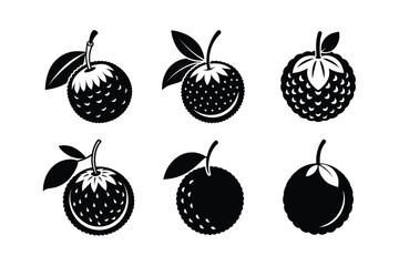Lychee – Litchi chinensis silhouette vector illustration
