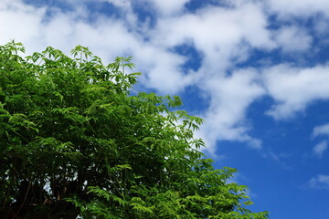 天空のバックグラウンド89