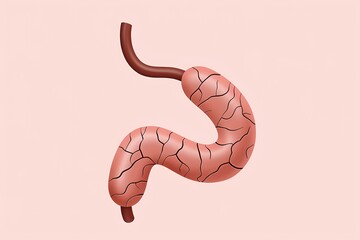 Fototapeta premium leaky gut