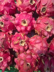 Obraz premium Exotic fruit market with dragon fruit as the main attraction