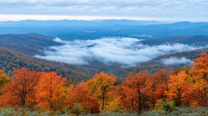 Fototapeta premium Autumn hiking adventure blue ridge mountains scenic view nature landscape panoramic outlook serenity