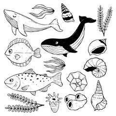 Obraz premium set of cute sea creatures with hand drawing style