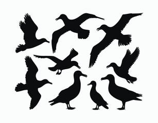 Obraz premium Simple Albatross Silhouette EPS Vector Template Illustration