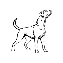  I created a dog silhouette vector with white background