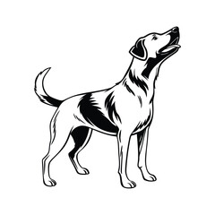  I created a dog silhouette vector with white background