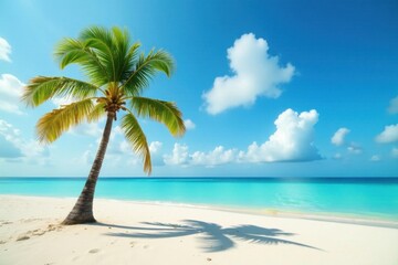 A single palm tree stands alone on the deserted sandy shore, with turquoise waters and a sky full of clouds, cloud, tropical