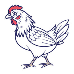 I created a Chicken vector with white background
