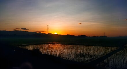 This stunning photograph captures a vibrant sunset over a tranquil rice paddy field.