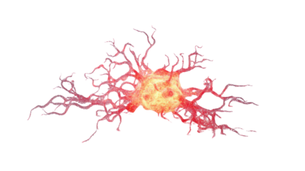 Glowing red dendritic cell spreading on transparent background