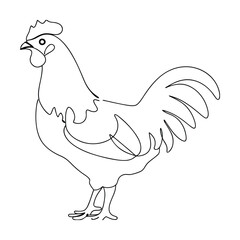 SingleLine Rooster Drawing Farm Animal, Poultry, One Stroke Art