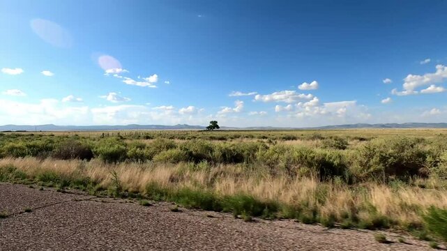 New Mexico Driving 1036 San Antonio Datil
