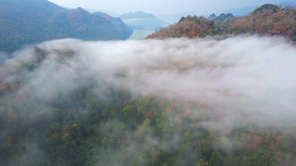 Aerial view landscape of fog flowing on mountains and autumn leaves in the morning by drone
