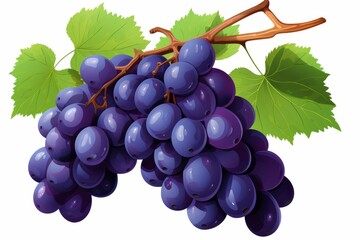 Fototapeta premium Minimalist logo design featuring an isolated bunch of grapes on a white background