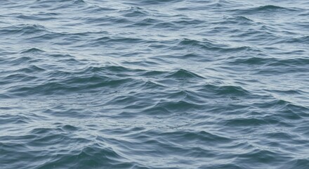 Fototapeta premium Serene Ocean Waves Texture Calm Water Surface Background