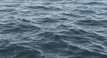 Fototapeta premium Serene Ocean Waves Calm Water Texture Natural Background Image