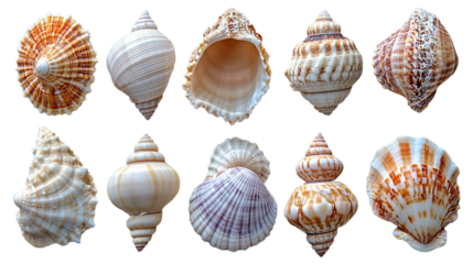 You've reached our limit of messages per hour Please try again later