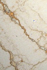 Obraz premium Marble stone texture in neutral tone with subtle veining , white, design, texture