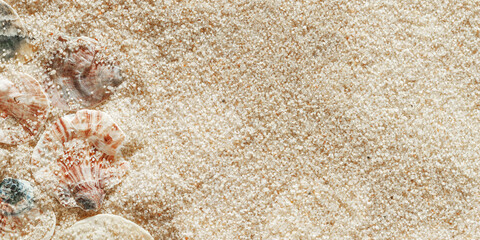 Fototapeta na wymiar Minimal aesthetic seashells pattern on beige sand, wide banner with copyspace, natural sea oceanic and summer textured background, top view delicate pastel colored shell, rest beach wallpaper