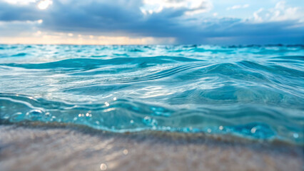 Obraz premium Misty forest close-up of gentle ocean waves tranquil seaside nature photography serene atmosphere